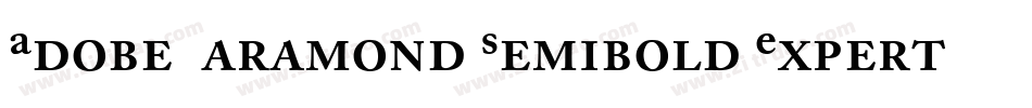 Adobe Garamond Semibold Expert字体转换